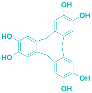 10,15-Dihydro-5H-tribenzo[a,d,g][9]annulene-2,3,7,8,12,13-hexaol